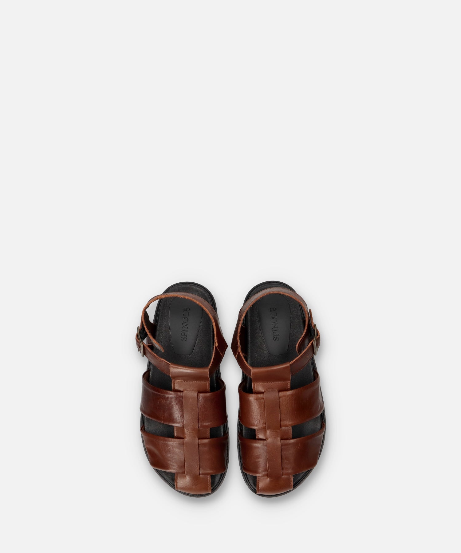SP-1714 Brown - SPINGLE